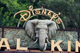 yy易游-国际魔术联盟